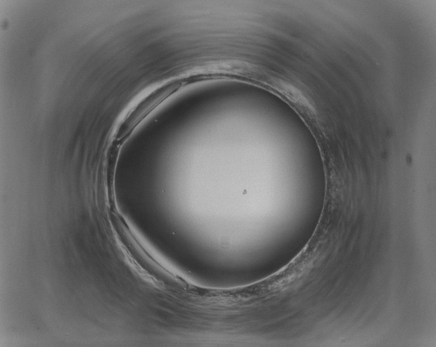 X0000064040792200601301147