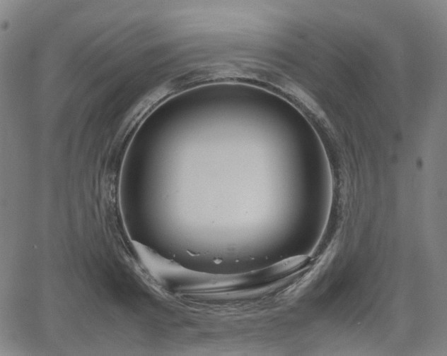 X0000064040793200601301147