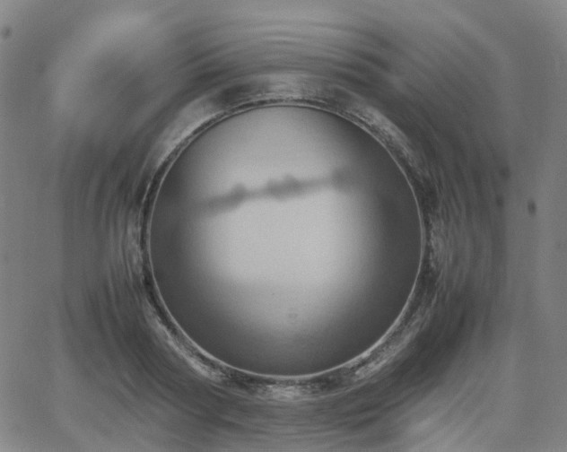 X0000064040794200601301147