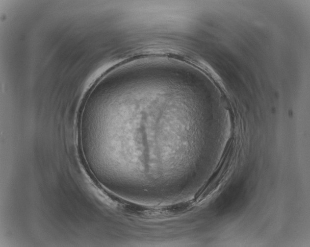 X0000064040795200601301147