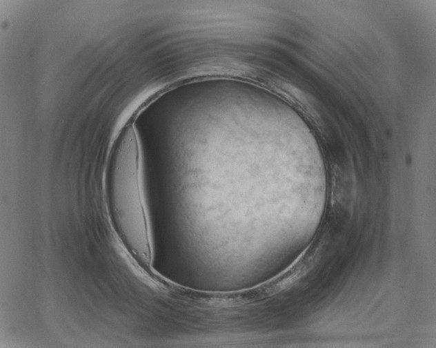 X0000064040796200601301147