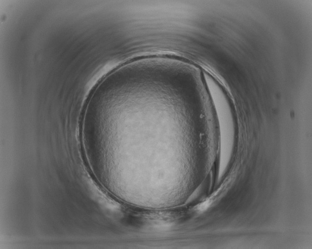 X0000064040797200601301147