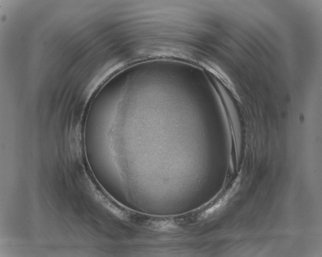 X0000064040798200601301147