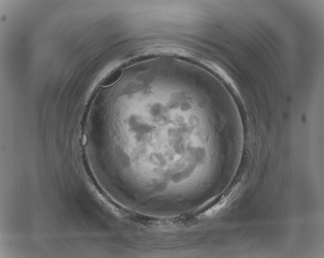 X0000064040799200601301147