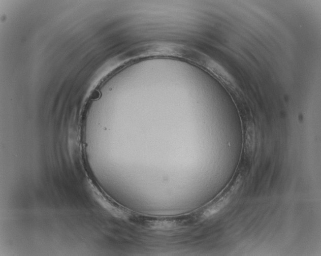 X0000064040800200601301147