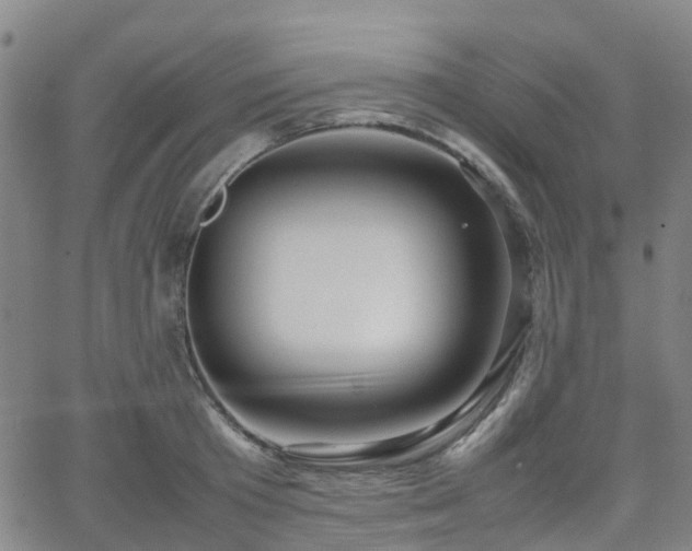 X0000064040801200601301147