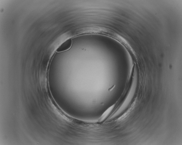 X0000064040802200601301147