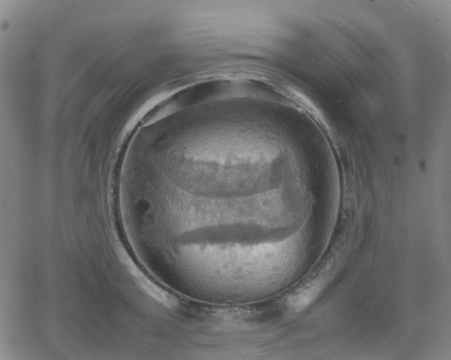 X0000064040803200601301147