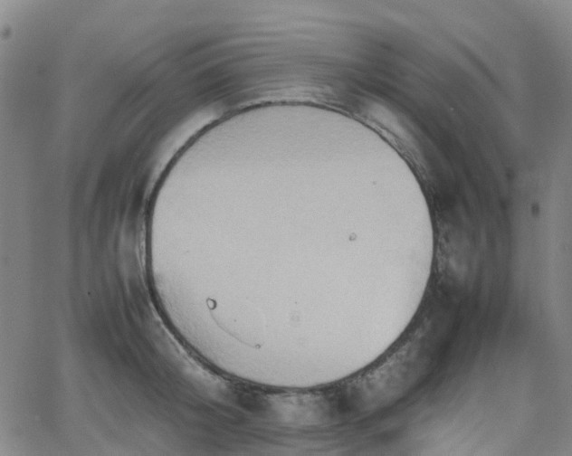 X0000064040804200601301147