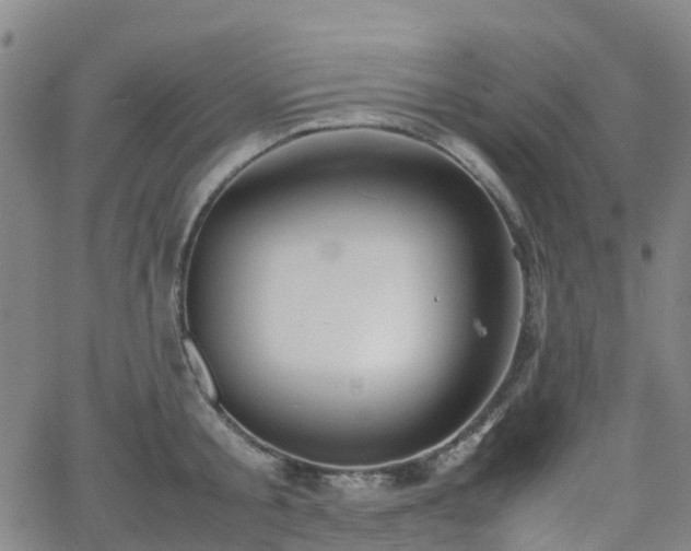 X0000064040805200601301147