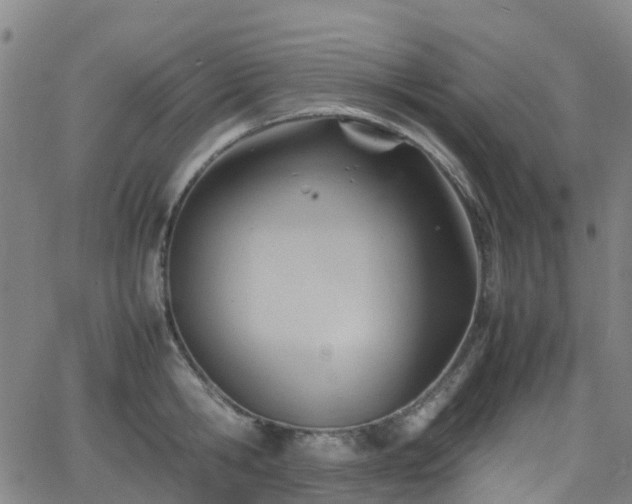 X0000064040806200601301147