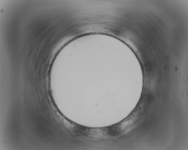 X0000064040807200601301147