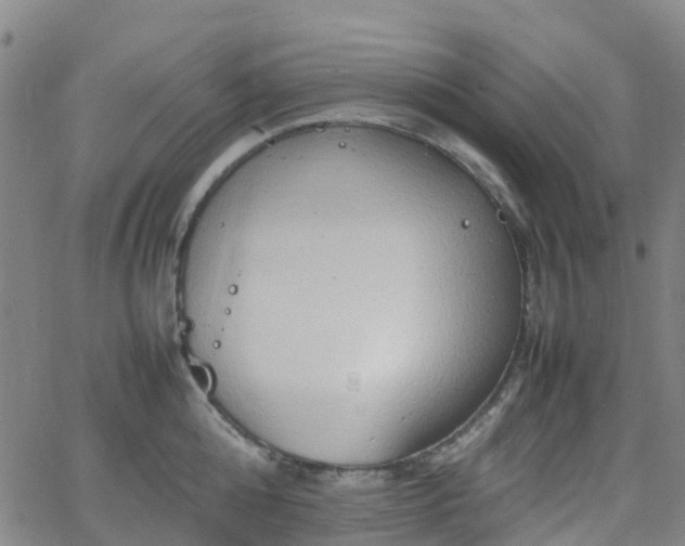 X0000064040808200601301147