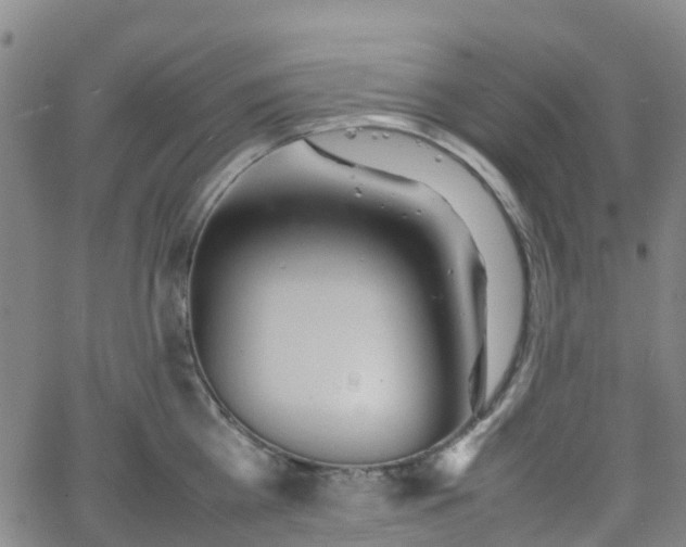 X0000064040809200601301147