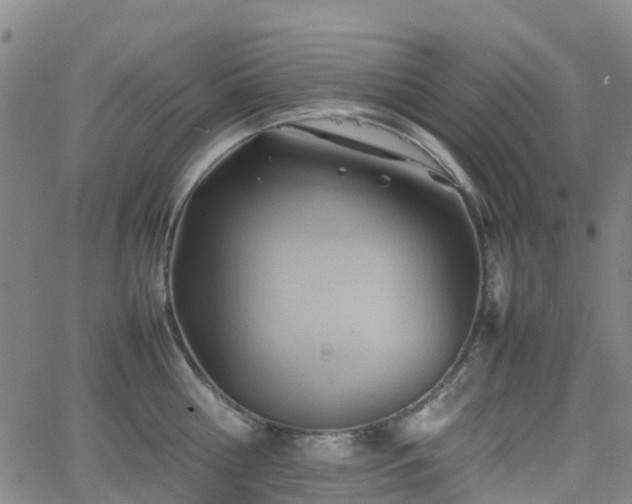 X0000064040810200601301147