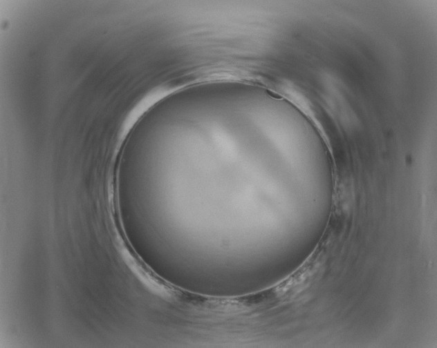 X0000064040811200601301147