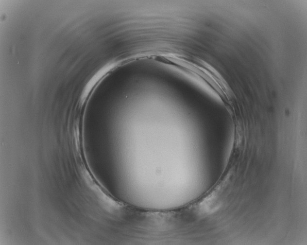 X0000064040812200601301147