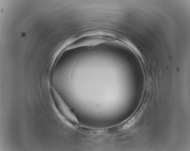 X0000064040813200601301147