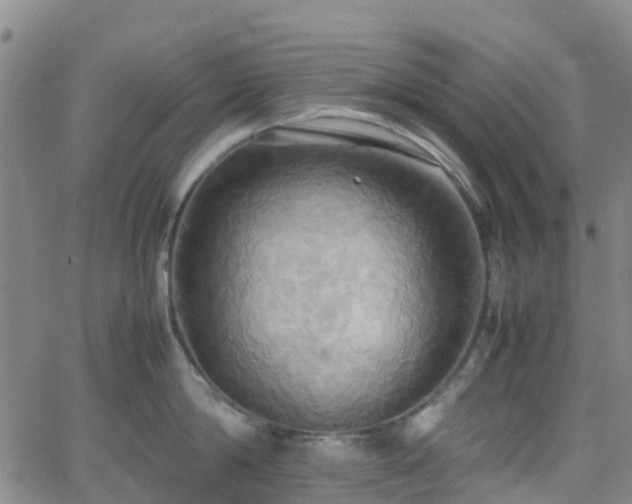 X0000064040814200601301147