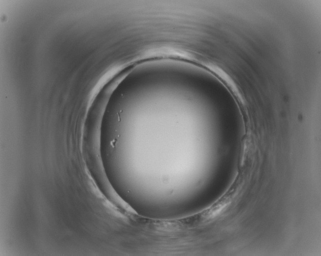 X0000064040815200601301147