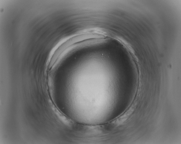 X0000064040816200601301147