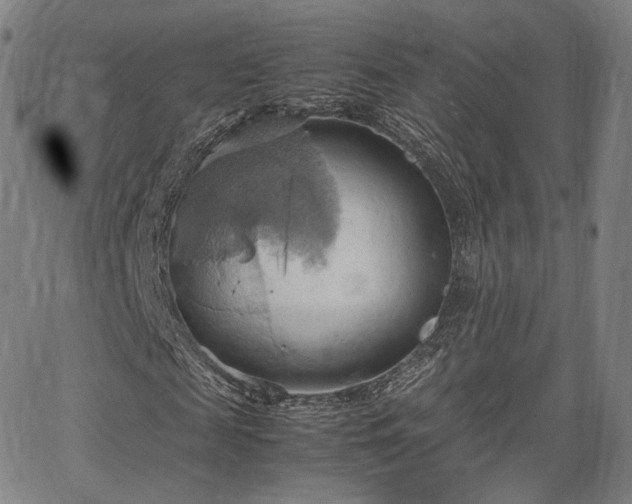 X0000064040817200601301146