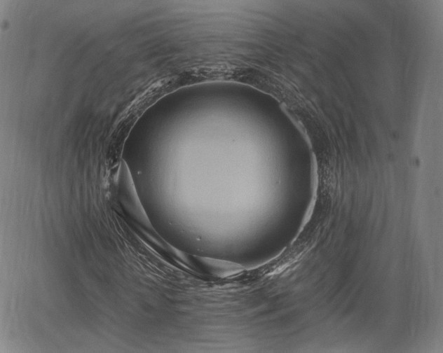 X0000064040818200601301146