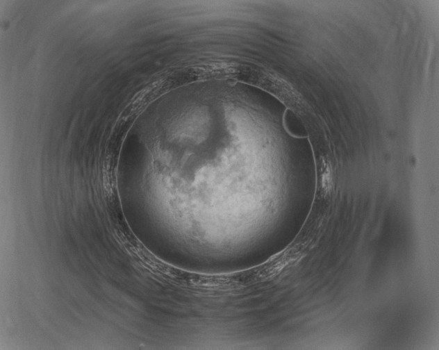 X0000064040819200601301146