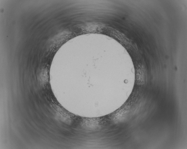 X0000064040820200601301146