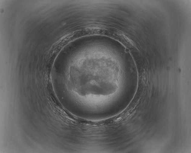 X0000064040821200601301146