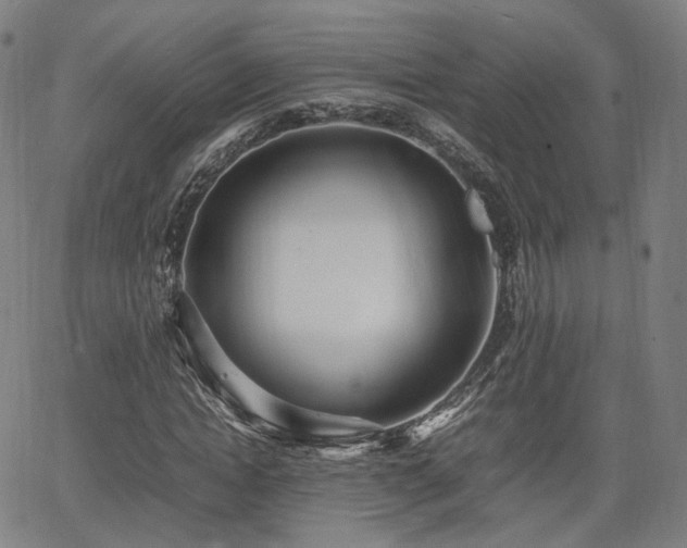 X0000064040822200601301146