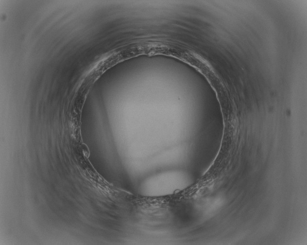 X0000064040823200601301146