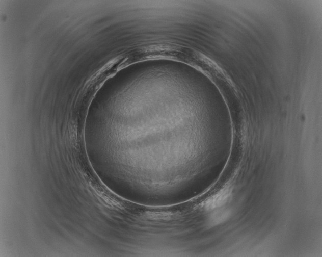 X0000064040825200601301146