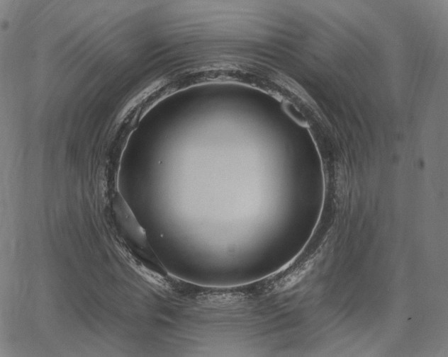 X0000064040826200601301146