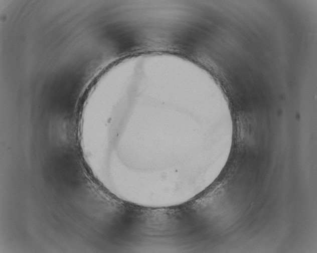 X0000064040828200601301146