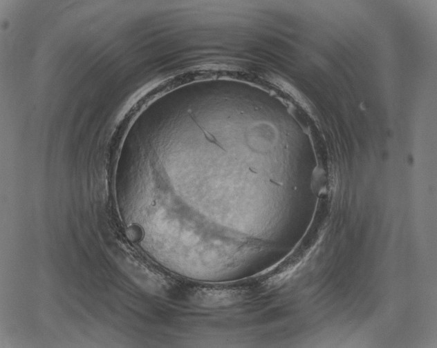 X0000064040829200601301146