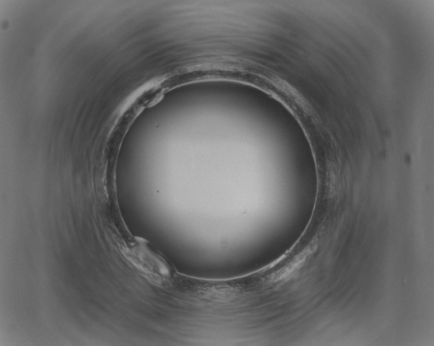 X0000064040830200601301146