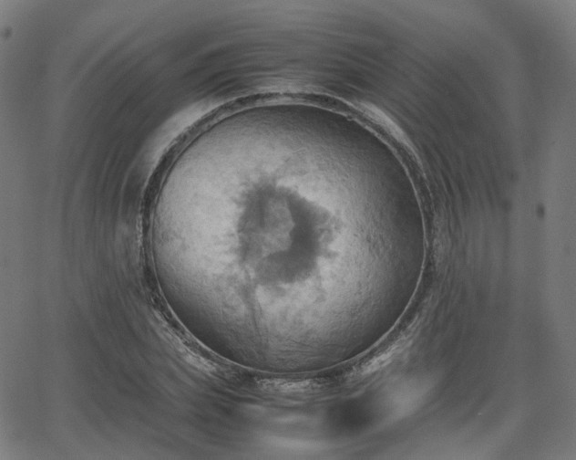 X0000064040831200601301146