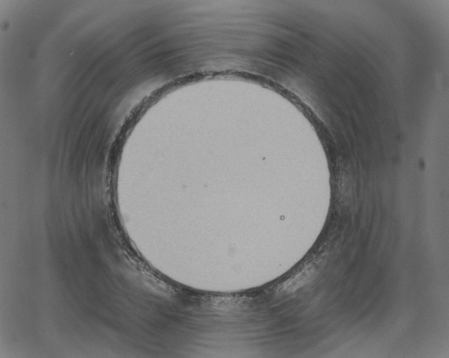 X0000064040832200601301146