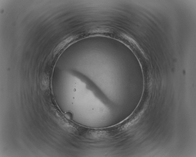 X0000064040833200601301146