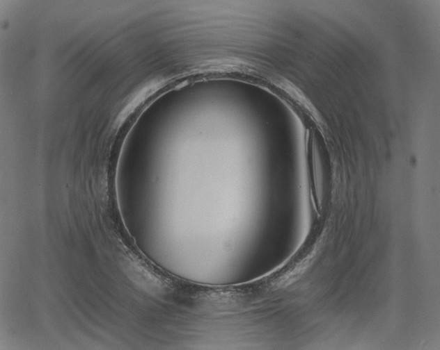 X0000064040834200601301146