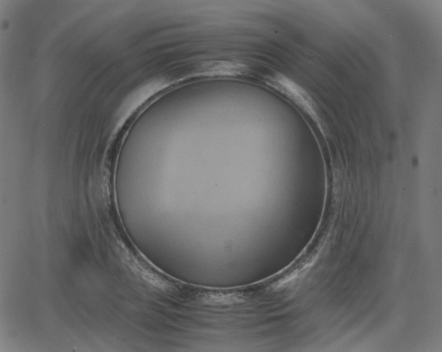 X0000064040835200601301146