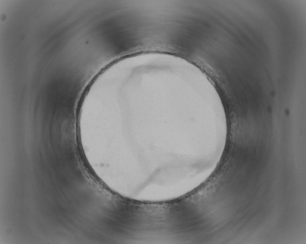 X0000064040836200601301146