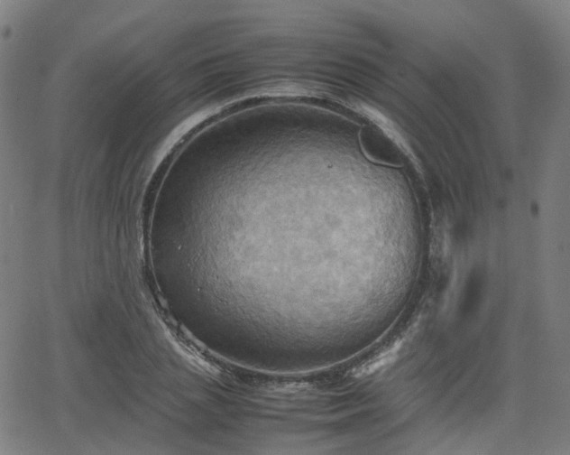 X0000064040837200601301146