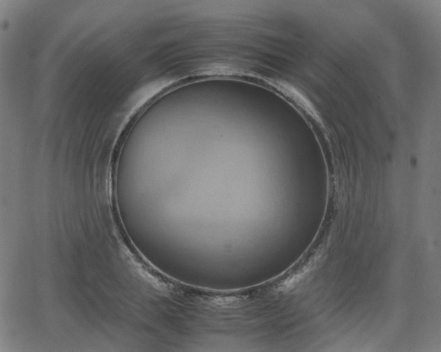 X0000064040839200601301146