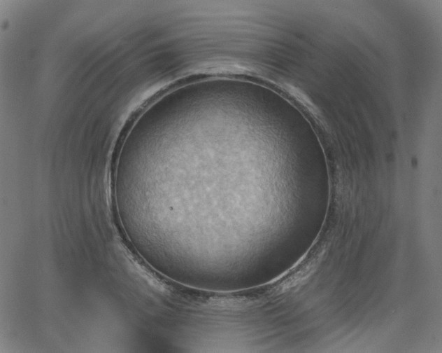 X0000064040840200601301146