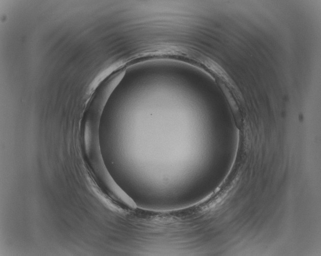 X0000064040842200601301146