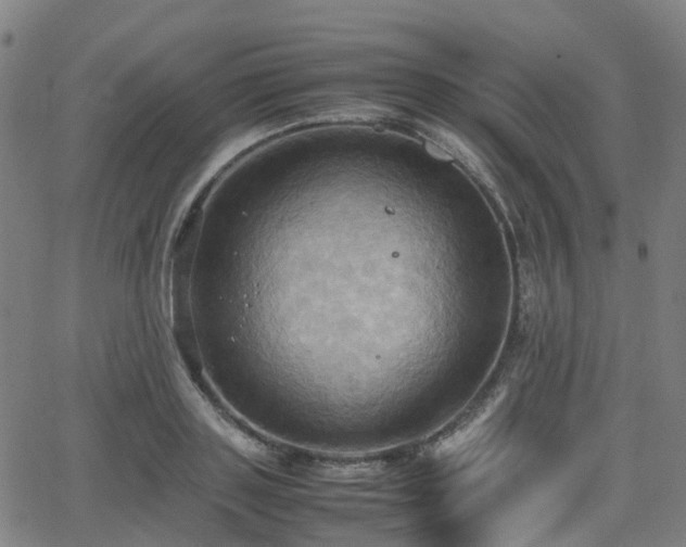 X0000064040843200601301146