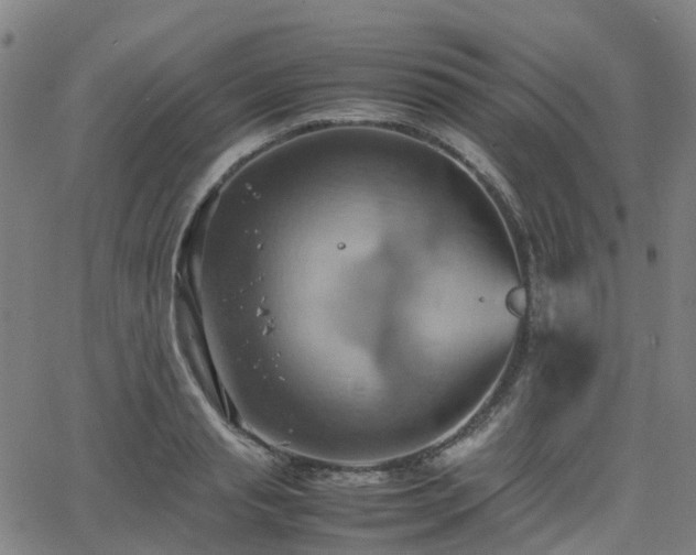 X0000064040845200601301146