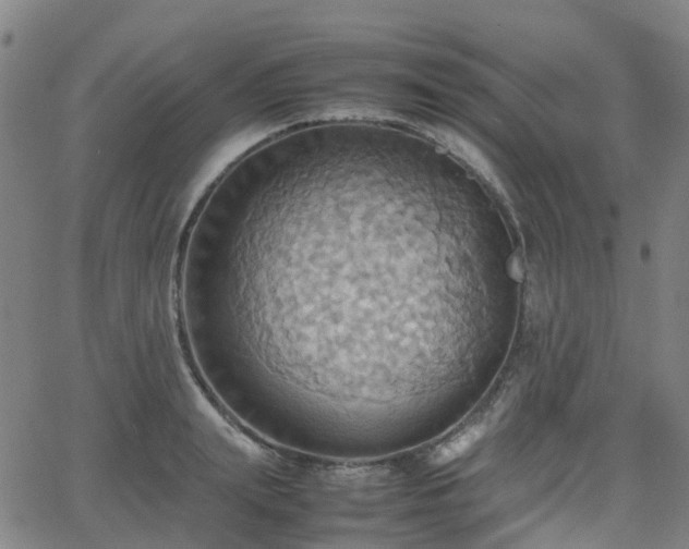 X0000064040847200601301146